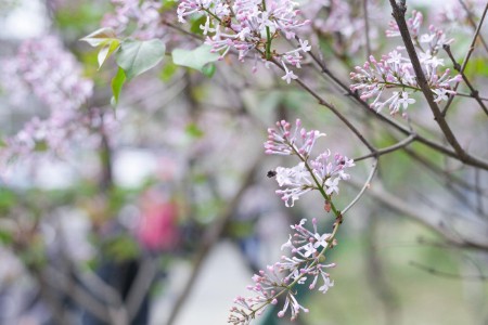 云南第四届双品网购节网络零售额约80亿元