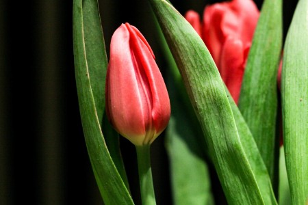 旅游人才市场洗牌加剧 企业如何确保关键人才稳定？