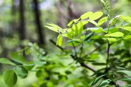 零售晚报：巨量引擎营销副总裁陈都烨 公布短直城搜全能力营销矩阵