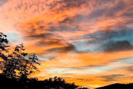 这家估值25亿的公司 破产了？