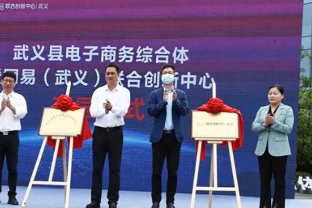 武义电子商务服务综合体暨武义网易联合创新中心正式开园
