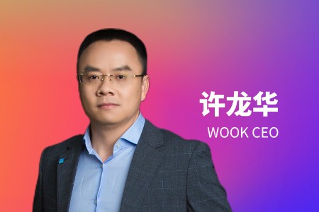 WOOK CEO许龙华：出海东南亚的一个大挑战是最后一公里