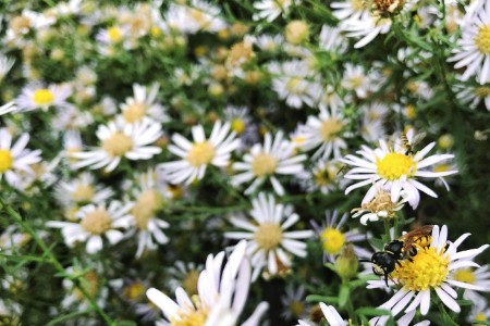 从牌子到品牌 有多远的路要走？