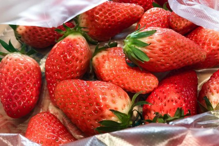 “水果+零食”业态 是实体零售的新出路吗？