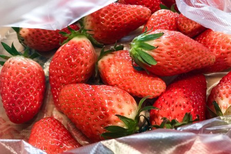 阿里京东拼多多扎堆农业 广阔天地大有作为