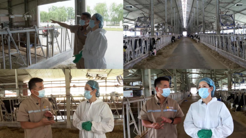 王凯的极致之旅，一起走进三元大直播