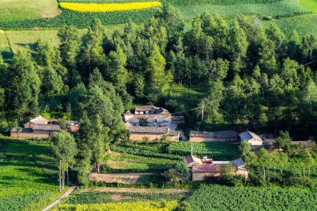 专访熊猫资本合伙人李论：农业投资始于调研 忠于热爱