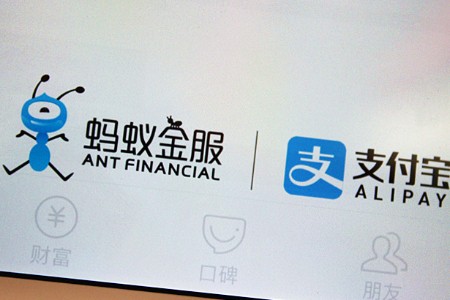 沉寂两年后 蚂蚁的新身份