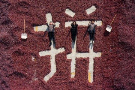 拼多多第二季度财报：营收314亿 继续深耕农业