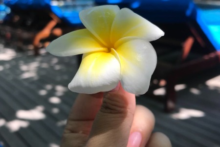 美玉子：从一颗溏心蛋 看蛋制品“新王”的诞生
