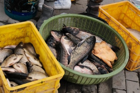 潮汕生腌火出圈！美食“毒药”能否成为下一个大爆品？
