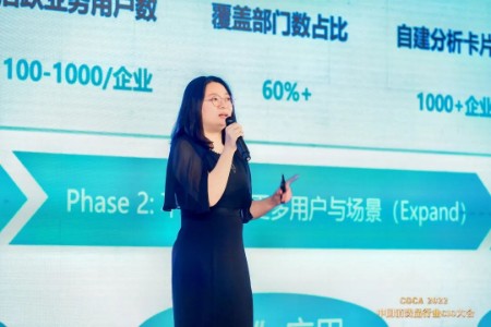观远数据COO鲁伊莎：着手“小”投入，才能实现大产出