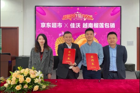 正式进入首个越南榴莲销售季 京东超市成独家首发