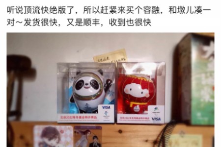 冬奥冰墩墩停售倒计时 网友：趁天猫双11落实一户一墩