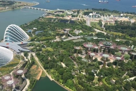 “铁三角”外贸如何保持高增长  数万深商选择数字化出海