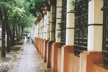 ESG会成为企业数字化转型的必要战役吗？
