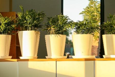 对话无忧传媒创始人：MCN有天花板？不存在的
