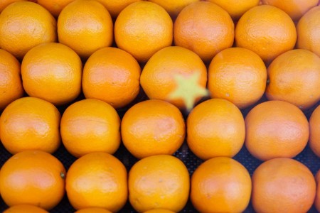 华院数智人开启直播新生态 助推农产品销量一路“狂飙”