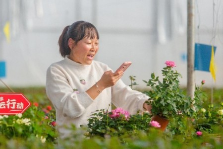 拼多多2022 Q4及全年业绩：Q4营收398亿 市场持续回暖