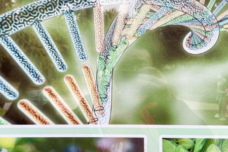 康泰生物与印尼Biotis公司签署合作协议
