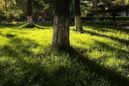 费控系统服务商合思：少花钱不如“更合理的花钱”