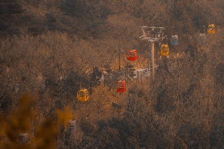 对标微软还是谷歌？未来中国大模型的路该朝向何方