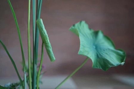 产业融资快报 | 麦田能源完成Pre-IPO轮融资