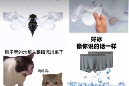 濒临倒闭转战淘宝的小企业 618完成月销破万“小目标”