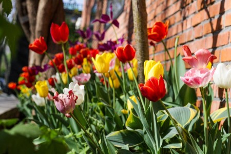 小小市集 月入百万