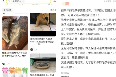 超5万卖家在闲鱼进行“猫狗绝育坏人表演”
