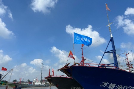 姗姗来迟 东海第一网梭子蟹“爬”进盒马海鲜缸