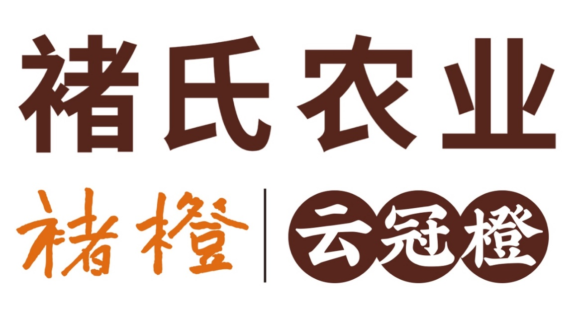 京东超市与褚氏农业战略合作独家首发云冠橙新品