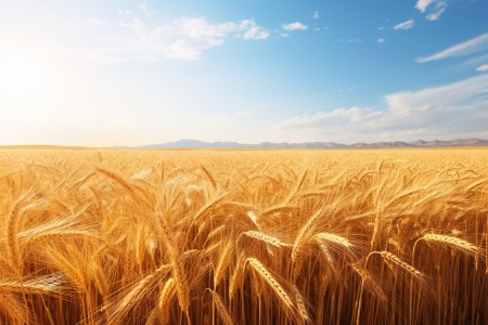 “东方甄选新疆行专场活动”单日销售额超过1亿元