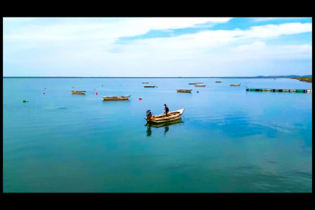 威海海参秋季开捕： 丰收4.5万吨 价格涨一成