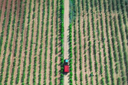 落地20个特色产业带 京东云助力“一带一业”多点开花