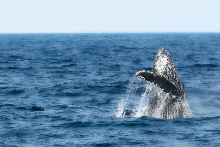 赤炎玻璃2023深圳国际全触与显示展 CHUM新产品发布在即