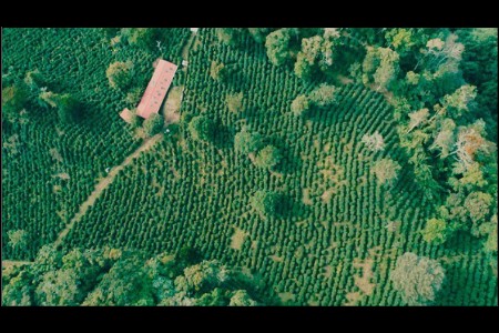 大商集团携六国稀缺美味精彩亮相第六届进博会