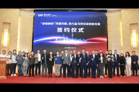 上海“政银保担”制度创新 盒马成首家试点民营企业