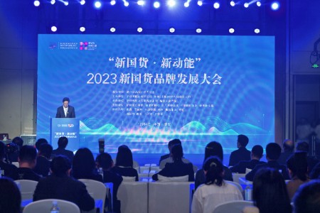 美腕助推新国货崛起：直播电商为品牌注入新动能