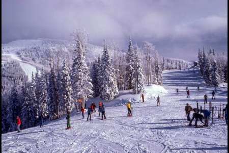 飞猪双12：出境游商品成交占比过半 同比去年增长93%