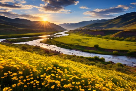 电商cpa最新消息：拱墅区市监局规范网络直播广告营销行为