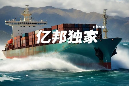 变量：中国平台影响世界电商丨亿邦年度观察