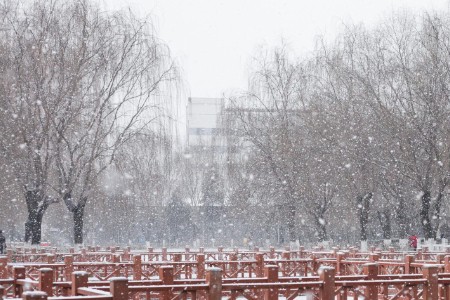 寒潮激发保暖消费，年货节“保暖”与“健康”成消费主题