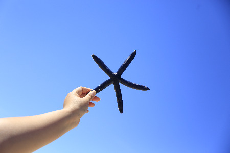 数字赋能 贸通全球：驻马店龙工场跨境电商产业园开园