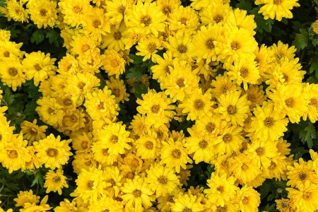 春日消费新活力：踏青出游热度攀升 唯品会户外服饰销量劲增