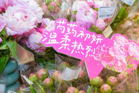 芍药上头 盒马花园可以簪花啦