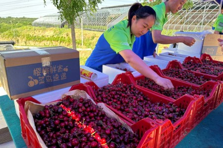 菜鸟速递推出生鲜平价寄：48小时内送上门 价格仅一半