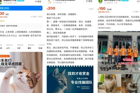 搜索量暴涨375% 年轻人又在闲鱼“发明”出新职业：“宠物侦探”月成交量超6000单