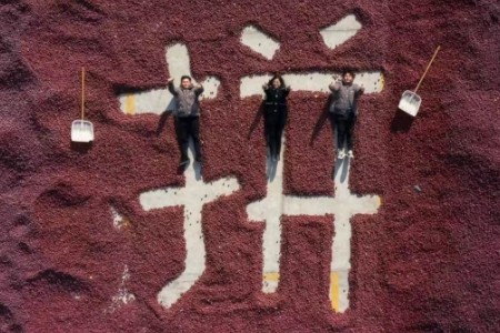 电商新势力:如何以“多实惠、好服务”赢得市场青睐?