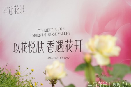 从田间到瓶间 追溯半亩花田20亿规模成长轨迹